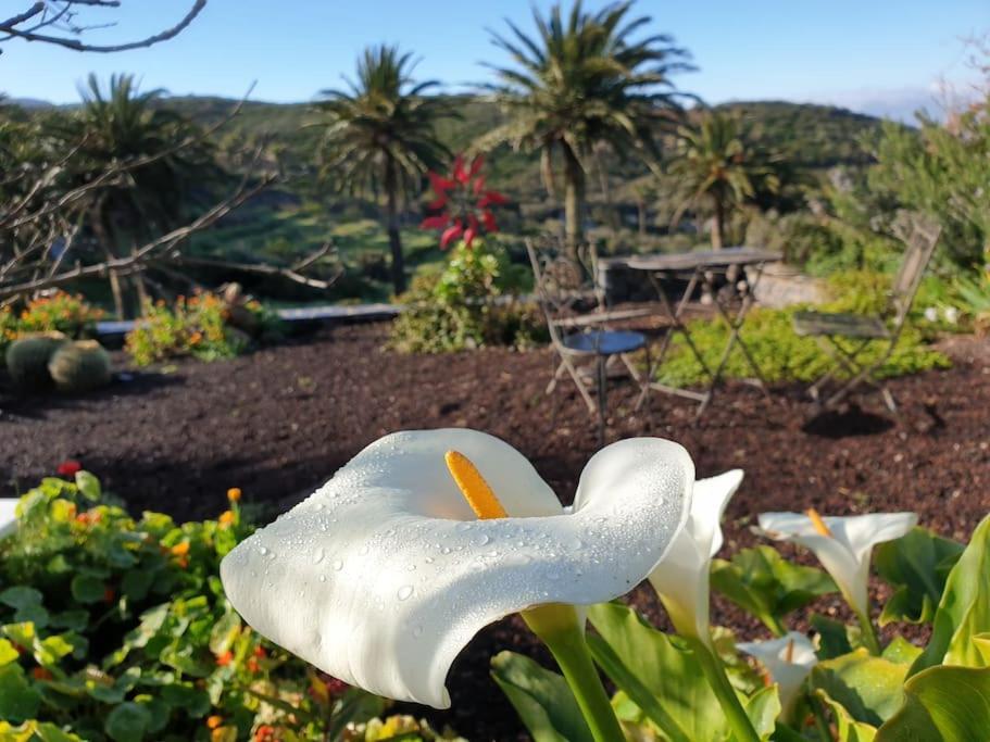 Casa Tara Ruhe Und Entspannung, Natur Pur Acardece Buitenkant foto