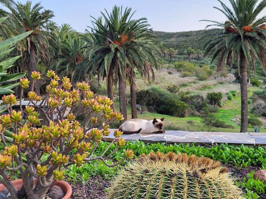 Casa Tara Ruhe Und Entspannung, Natur Pur Acardece Buitenkant foto