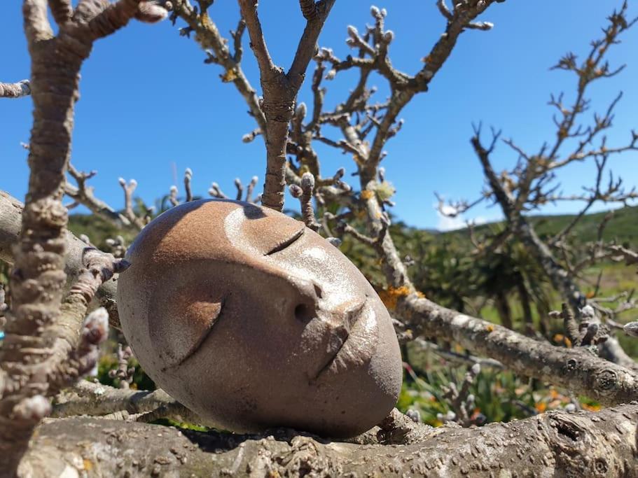 Casa Tara Ruhe Und Entspannung, Natur Pur Acardece Buitenkant foto