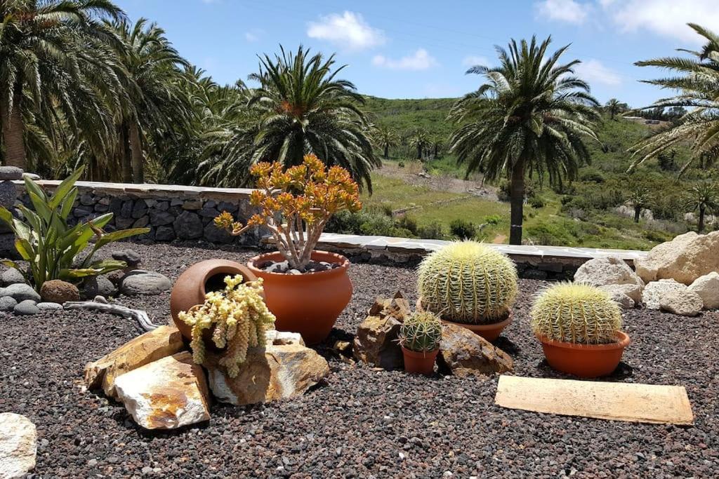 Casa Tara Ruhe Und Entspannung, Natur Pur Acardece Buitenkant foto